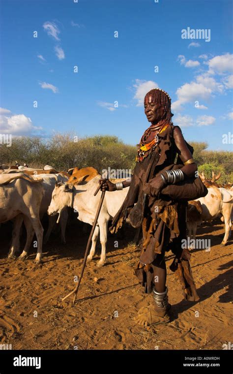 Ethiopia Lower Omo Valley Turmi Hama Jumping Of The Bulls Initiation