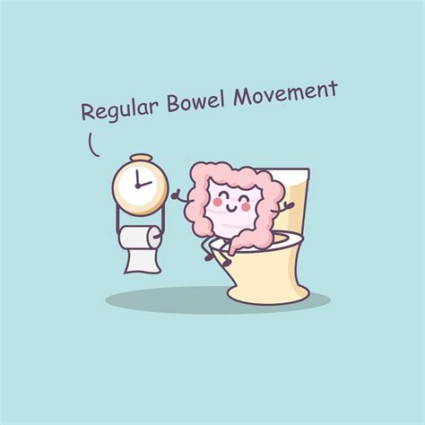 Understanding Your Bowel Movements