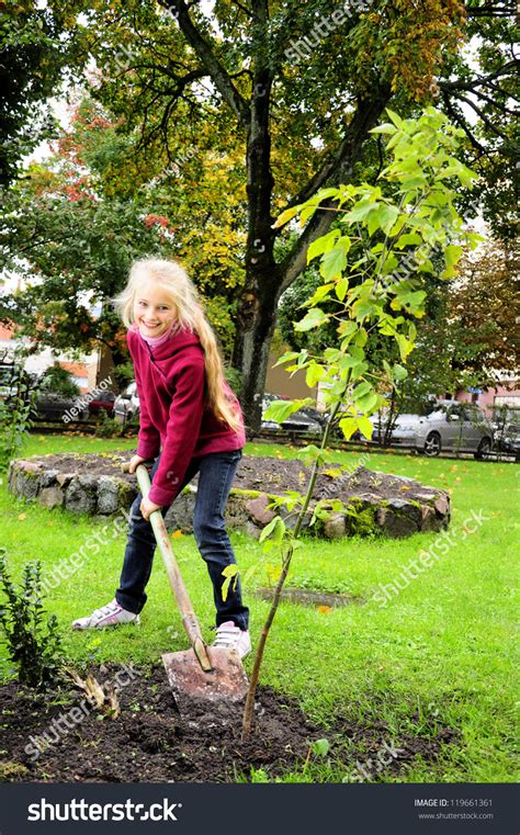 Young Girl Planting Tree Stock Photo 119661361 Shutterstock