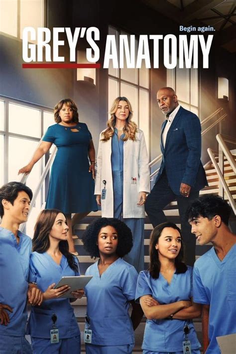 Grey S Anatomy Temporada 19 Mx