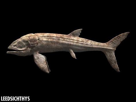 I've never seen an alpha version of this leedsichthys. Leedsichthys_closeup.jpg (600×450) | Prehistoric creatures ...