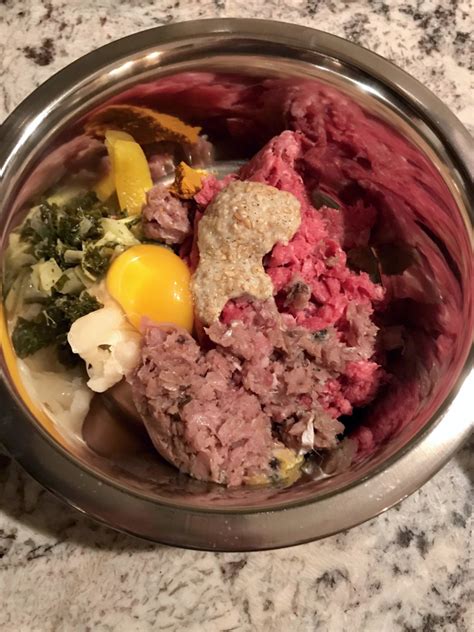 Our animals are all very healthy and energetic. Choosing the Best Raw Food to Feed Your Dog | Alicia's ...