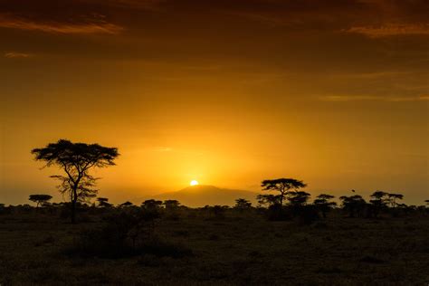 Sunrise In Africa
