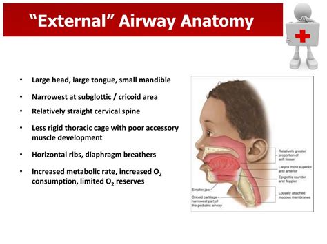 Ppt Pediatric Respiratory Emergencies Powerpoint Presentation Free