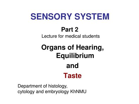 Ppt Sensory System Powerpoint Presentation Free Download Id9226244