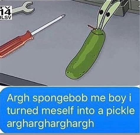 Is This What True Beauty Looks Like Pickle Rick Know Your Meme
