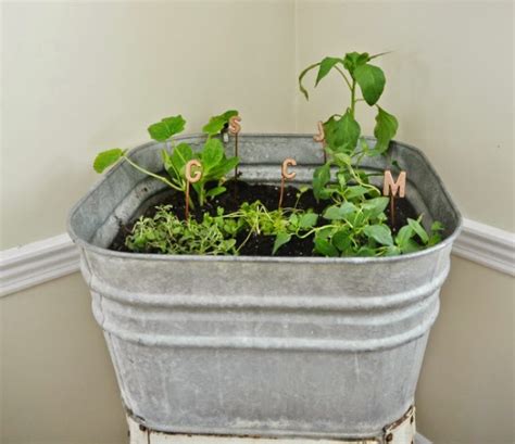 15 Phenomenal Indoor Herb Gardens Do It Yourself Ideas And Projects