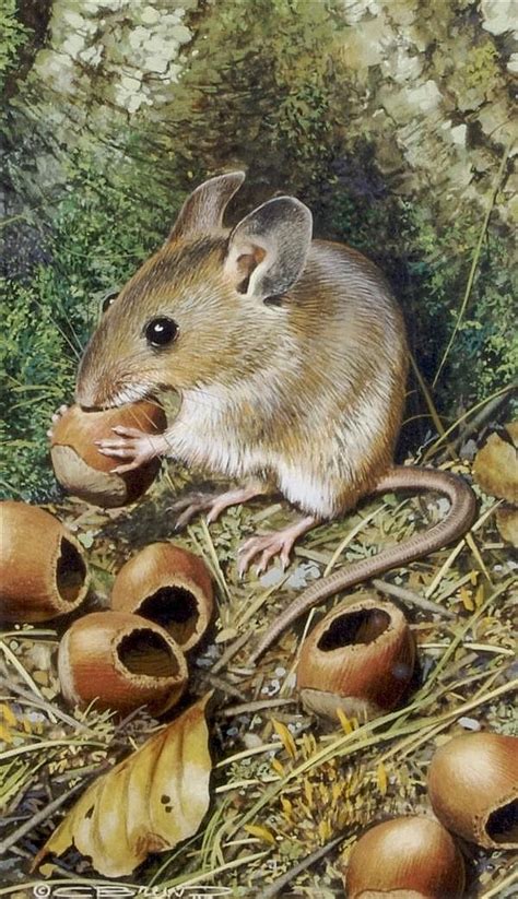 Mouse Paintings