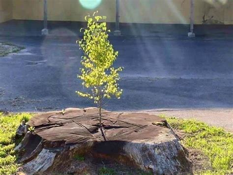 And the steps below should walk. Image "No matter what happens in life; you can always ...