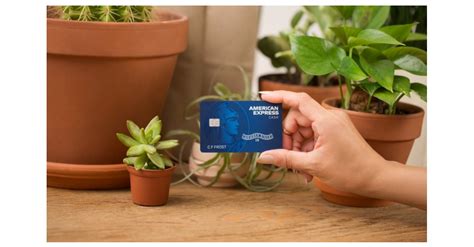 American Express Launches New No Annual Fee Cash Magnet Card