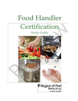 Industry professionals who should consider these programs include wait staff, chefs, cooks, bartenders, hosts and hostesses, food manufacturers and supervisory personnel, such as the general manager or managers. Food Handler Certificate Study Guide Peel - Fill Online ...