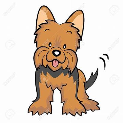 Clipart Yorkshire Terrier Yorkie Terriers Dog Puppy
