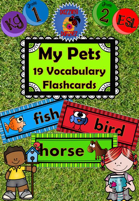 My Pets 19 Vocabulary Flashcards • Teacha