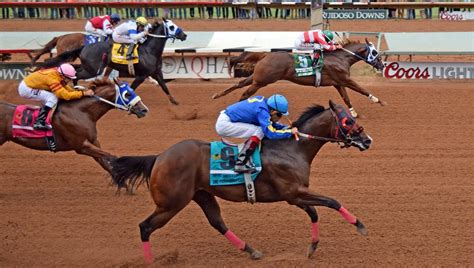 At The Track All American Futurity Rematch In Ruidoso Derby Trials Sunday