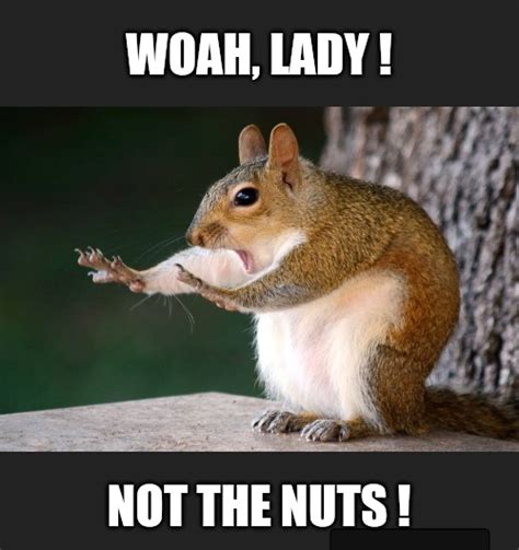 Squirrel Nuts Memes