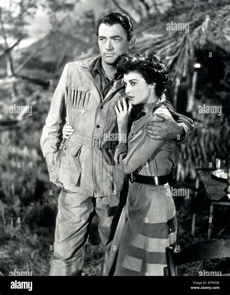 The Snows Of Kilimanjaro Year 1952 Usa Gregory Peck Ava Gardner
