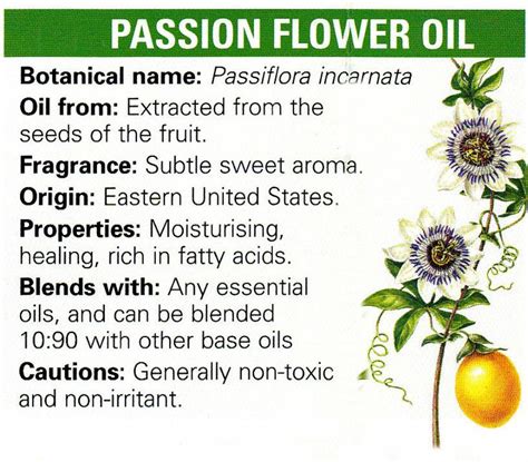 Passion Flower Oil Healing Herbs Herbal Cure Magic Herbs
