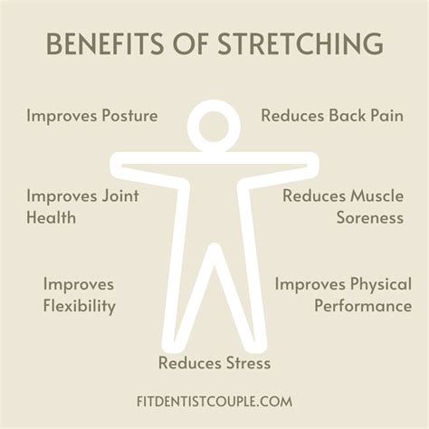 Importance And Benefits Of Stretching A Quick Guide Fitdentistcouple
