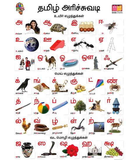 Tamil Alphabets Alphabet For Kids Tamil Alphabet