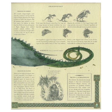 Dragonology The Complete Book Of Dragons By Dr Ernest Drake