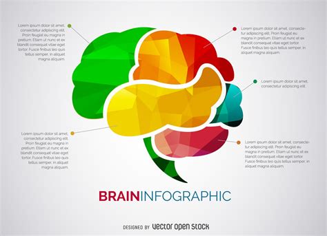 Brain Infographic Free Vector Infographic Educational Infographic