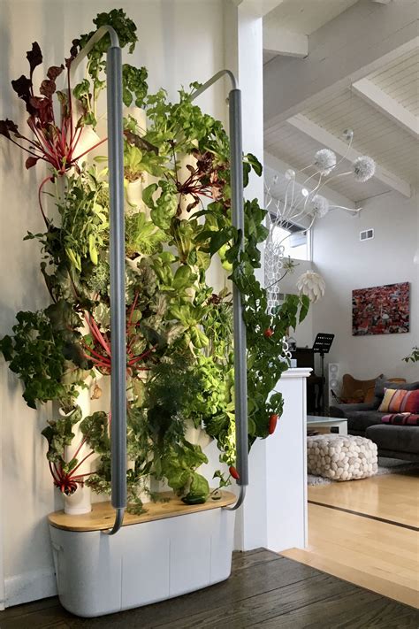 Indoor Vegetable Garden Room Thuem Garden Plant