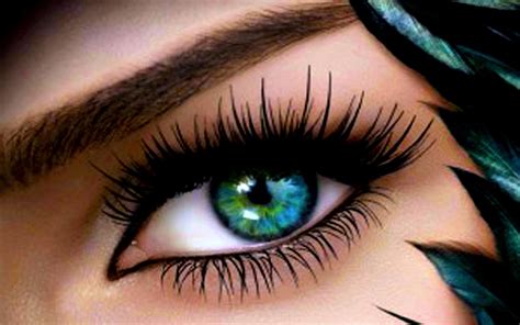 Turquoise Eye Image Id 164826 Image Abyss