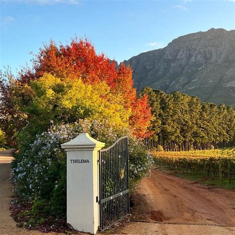 Connect With Us Thelema Mountain Vineyards
