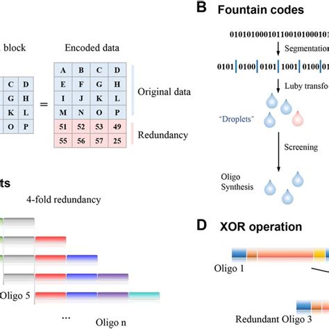 Encoding For DNA Based Data Storage A Schematics Of A DNA Strand Download Scientific Diagram