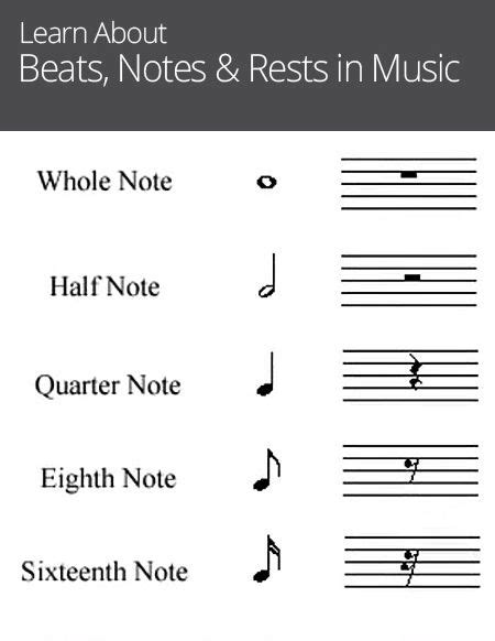 Now, i just used the word meter there. Beats, Notes & Rests in Music | Reading sheet music, Piano music, Music notes