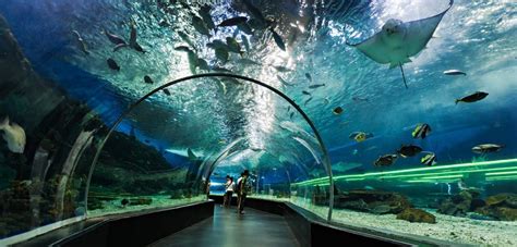 Underwater World Uv Disinfection For Sea Water Aquarium