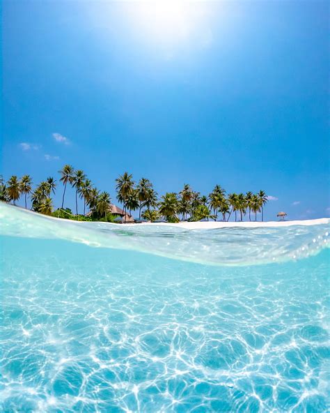 Crystal Clear Water Near Coconut Trees Under The Sun Sea Crystal