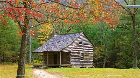 Everyday begins with a new adventure! homestead, I always wonder someone's history that happened ...