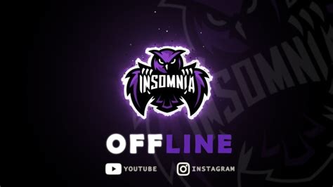 Design Offline Banner And Twitch Panels Overlay By Doctordeej