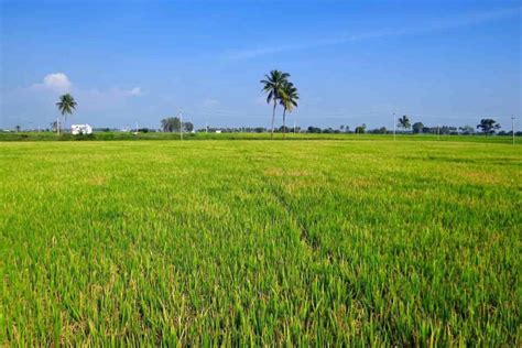 How To Buy Agriculture Land In Punjab And Who Can