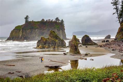 Ruby Beach Olympic National Park In The Us State Of Washington Stock