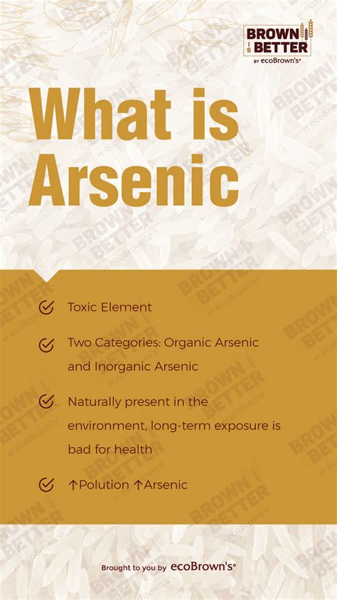 arsenic in rice should you be concerned ecobrown s