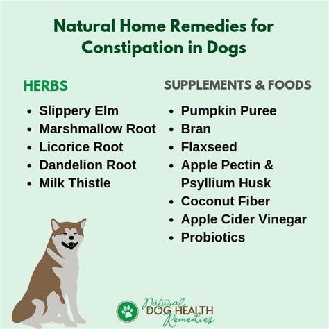 Canine Constipation Remedies Home Treatment For Constipated Dogs