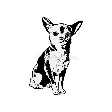 Free Free 249 Chihuahua Svg Free SVG PNG EPS DXF File