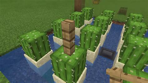 Here are 2 minecraft cactus farm choices that work in minecraft 1.16. How to Build a Cactus Farm For Minecraft Bedrock and Java ...
