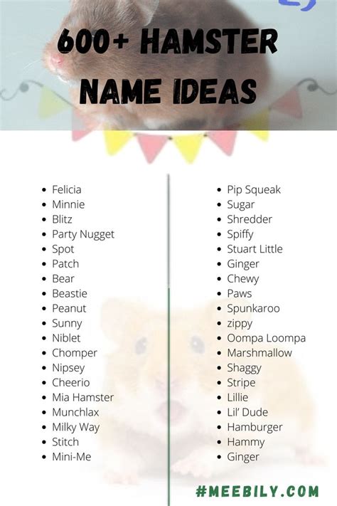 The Hamster Name Ideas List Is Shown With An Image Of A Hamster On It