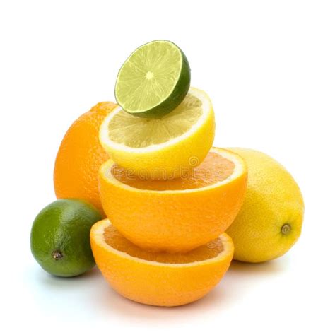 Citrus Fruits Stock Photo Image Of Eating Group Colour 17313908