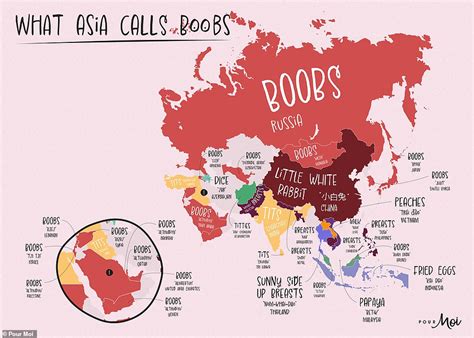 Fascinating Maps Reveal The Most Used Nicknames For Breasts Around The World Daily Mail Online
