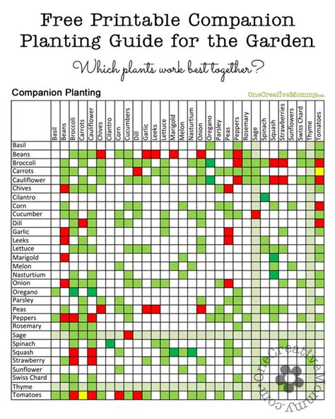 Square Foot Garden Planting Chart