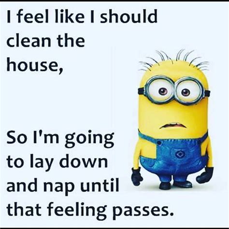 I Feel Like I Should Clean The House Cleaning Quotes Funny Funny