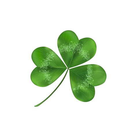 運の緑のシャムロックの葉のシンボル。白の図に分離されました。アイルランドの文化の象徴としてのクローバーの装飾。 プレミアムベクター