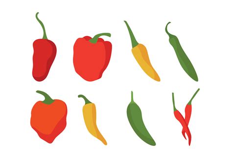 Different Chili Peppers Vector Set 148417 Vector Art At Vecteezy