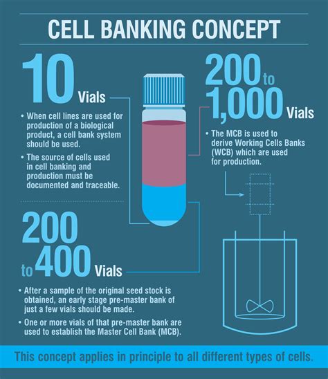 It is a selectively permeable membrane of the cell, which is composed of a lipid bilayer and proteins. Cell Banking Concept | Charles River Laboratories.