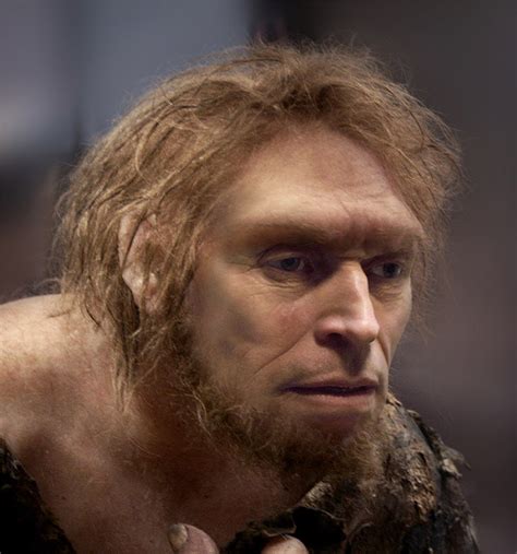 Celebrity Cavemen 20 Famous Folks As Neanderthals If Its Hip Its