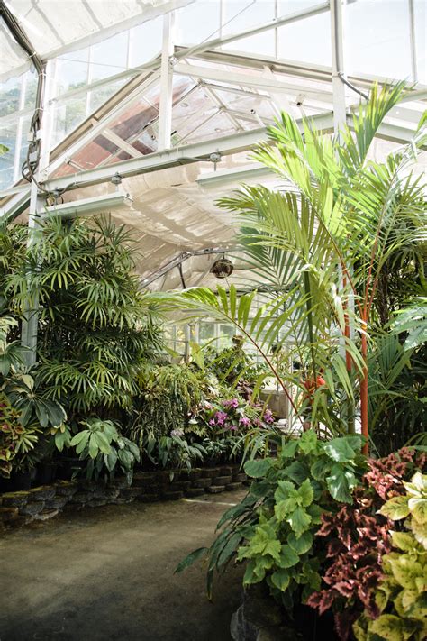 Foster Botanical Garden Entouriste
